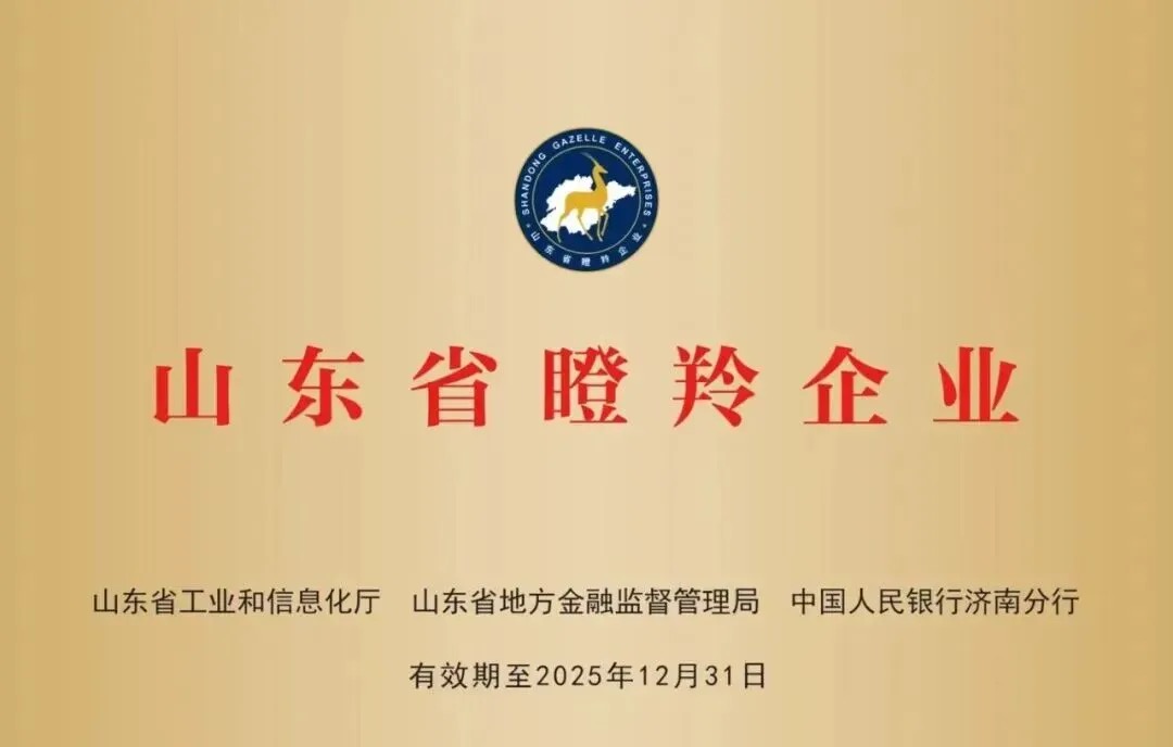 Shandong Gazelle Enterprise