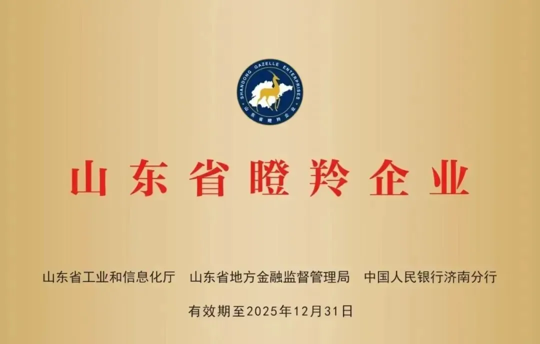 Shandong Gazelle Enterprise