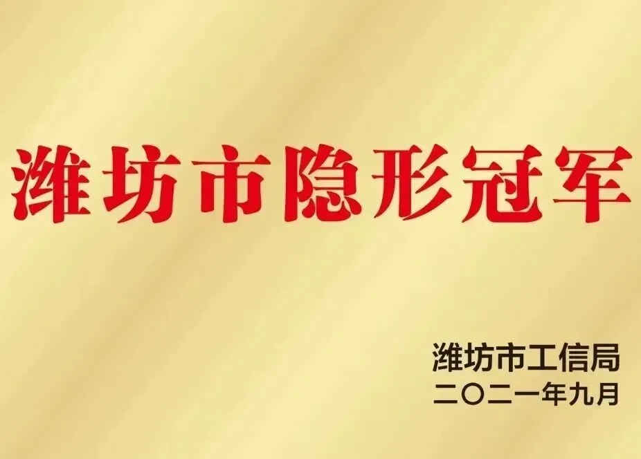 Weifang Invisible (Hidden) Champion