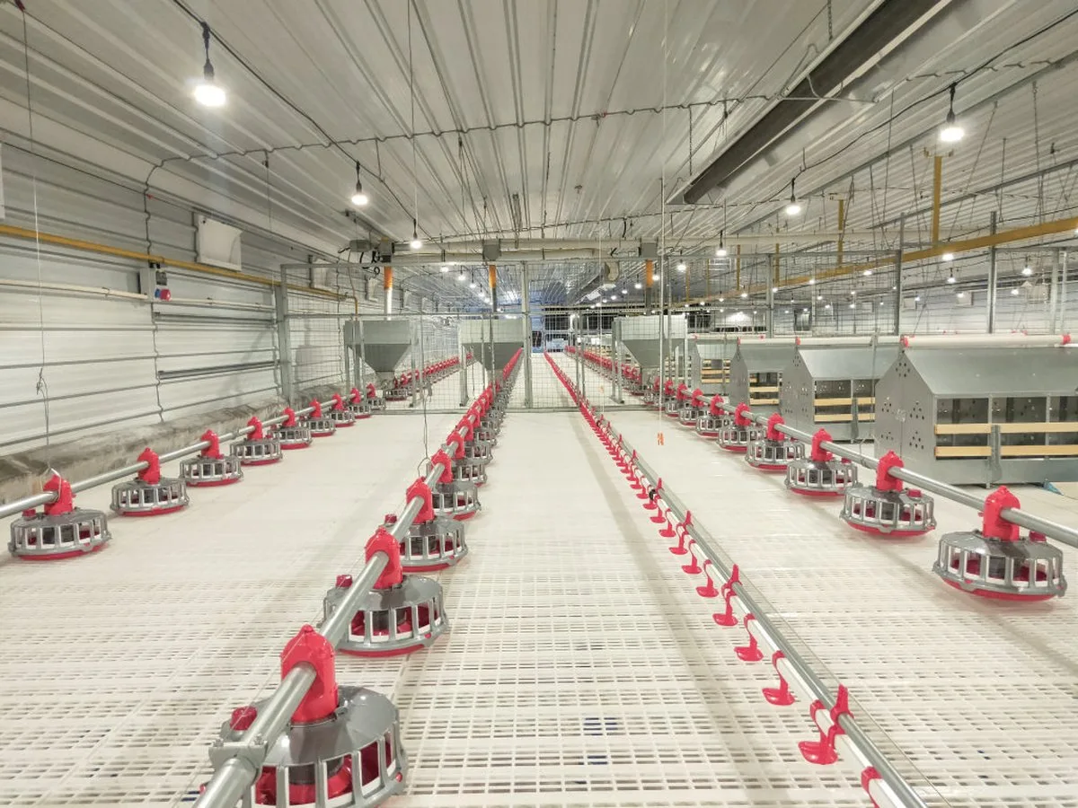 Breeder Equipment Catalog preview
