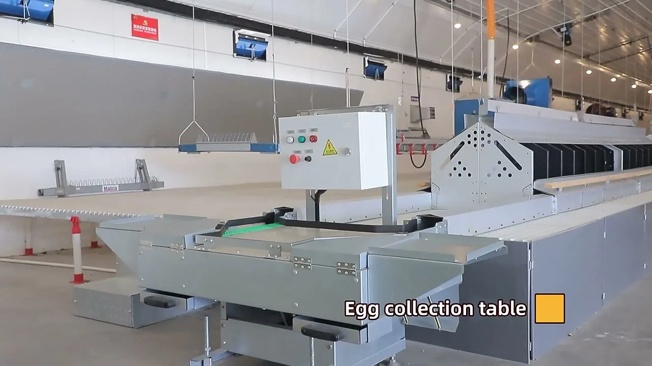 Nest line and egg collection table