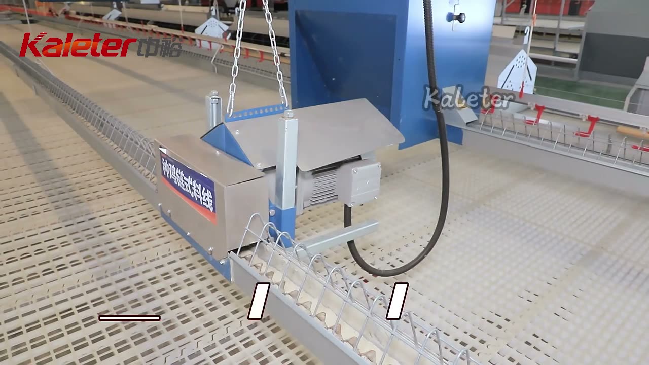 Chain feeding line with a travelling hopper and feed return wheel. Distribution runs at 36 m/min, adjustable.