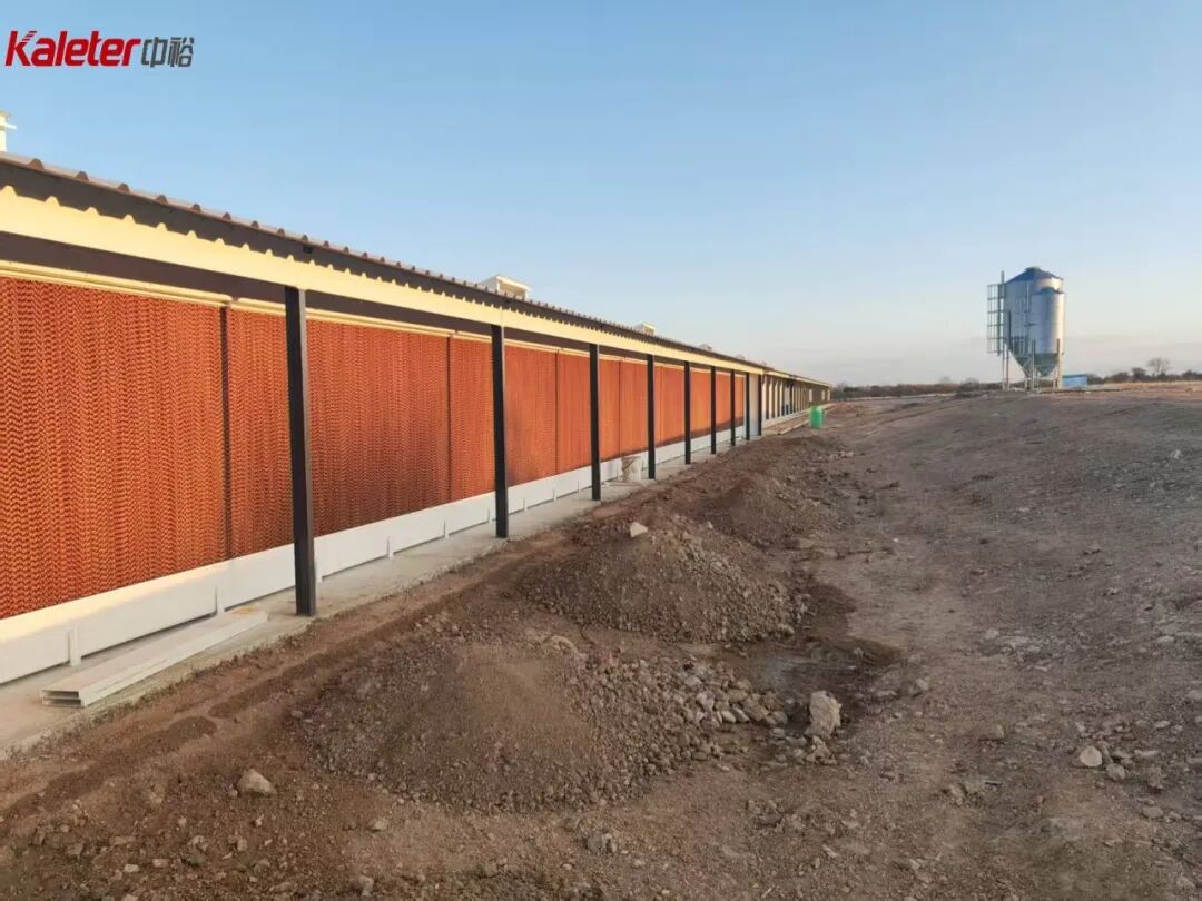Cooling pad wall along the outside of a poultry house, with the feed silo behind