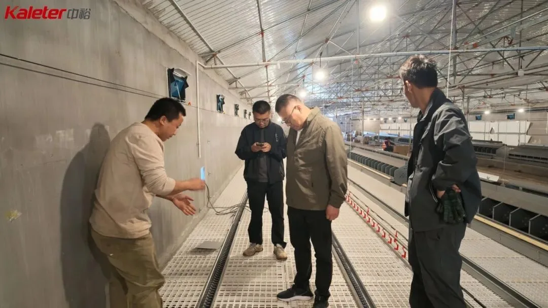The project team inspecting equipment inside a breeder house