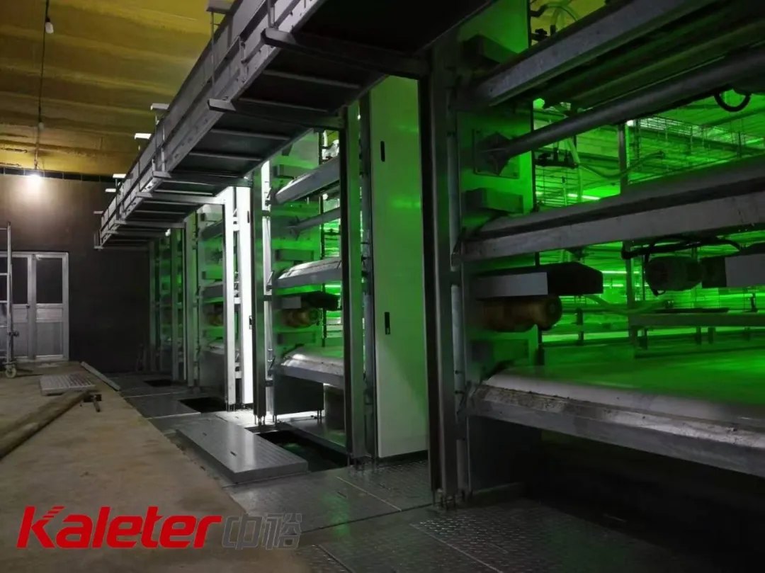 Kaleter slatted-floor automatic broiler cage