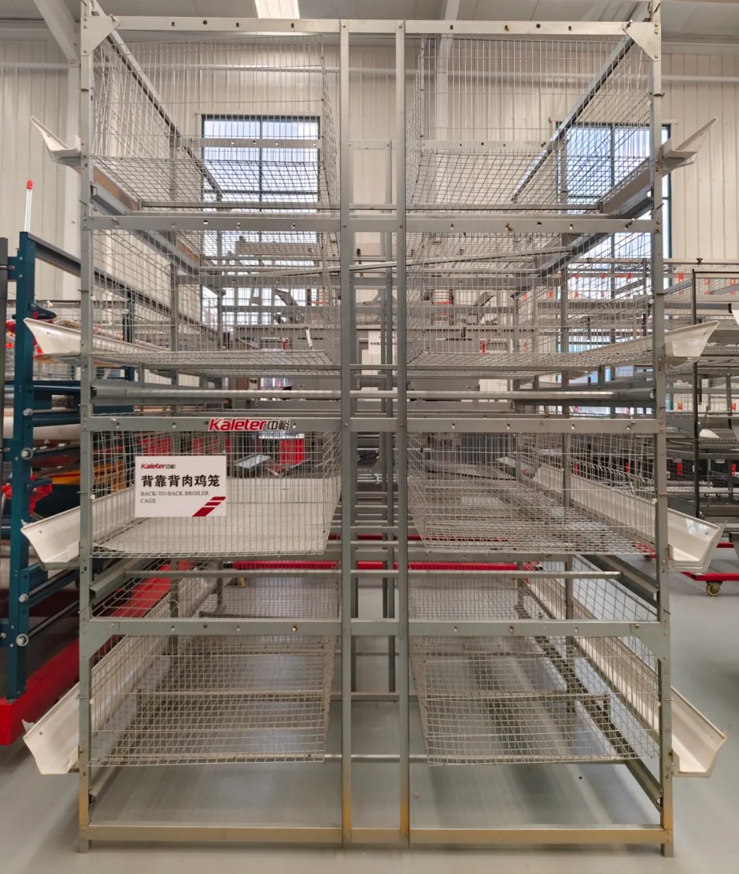 Back-to-back manual broiler catching cage