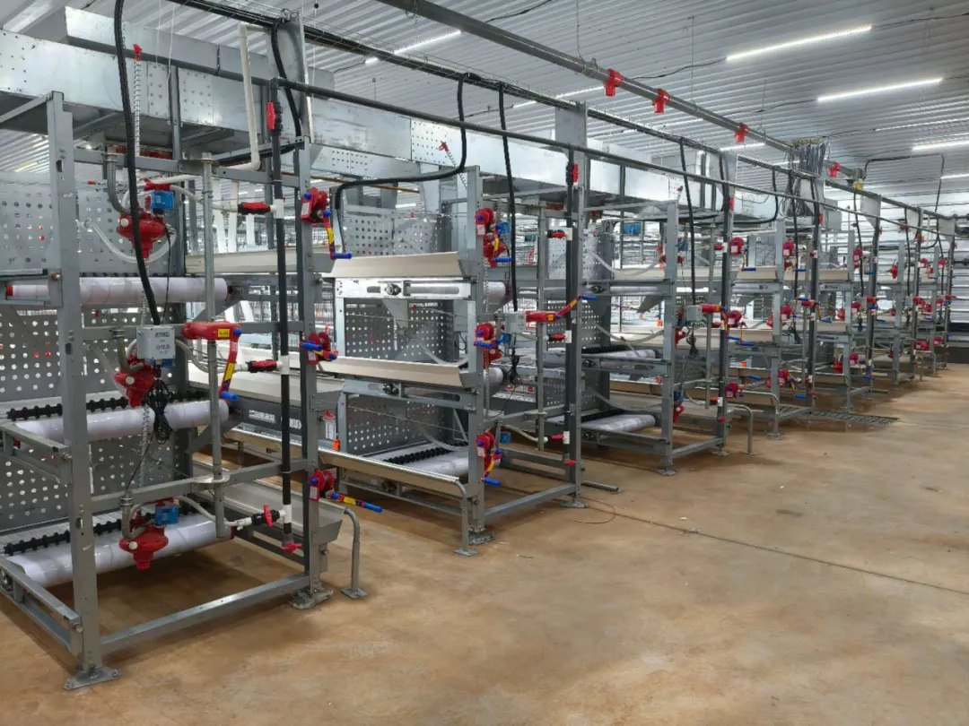 Single-sided manual broiler catching cage