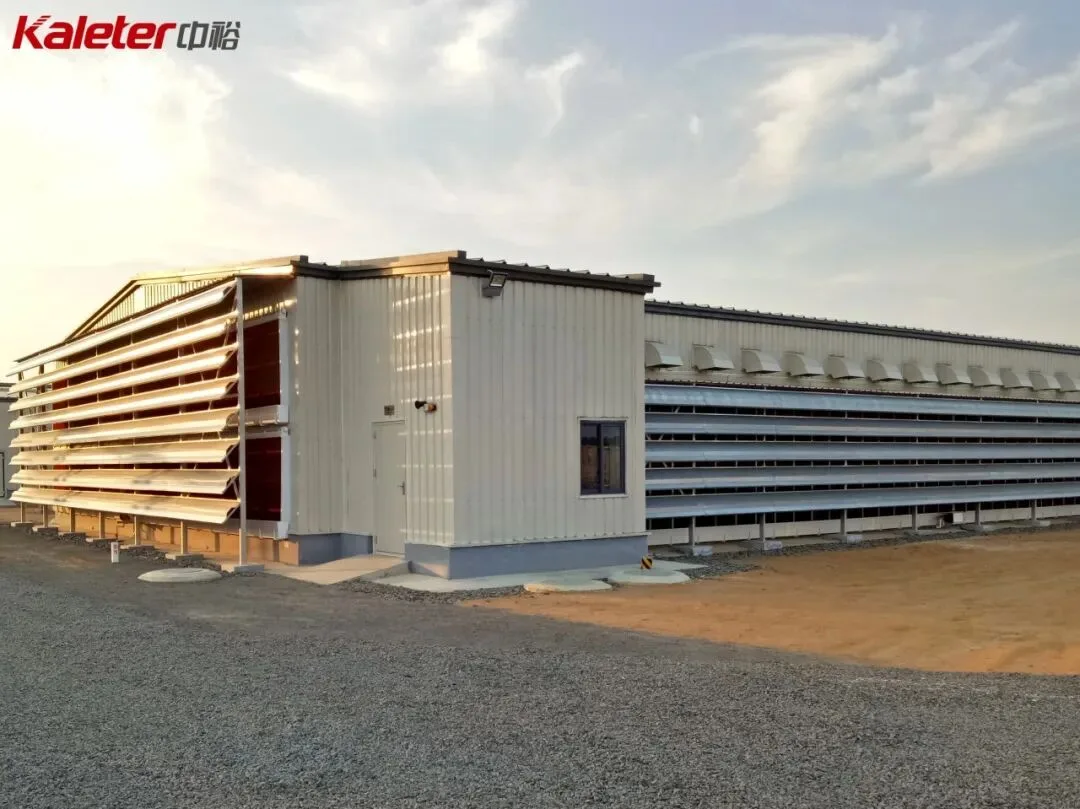 Poultry house exterior with air inlets and roof exhaust hoods