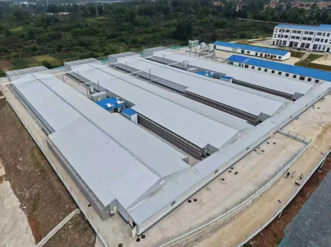 Aerial view of a Shandong Guangming breeder farm