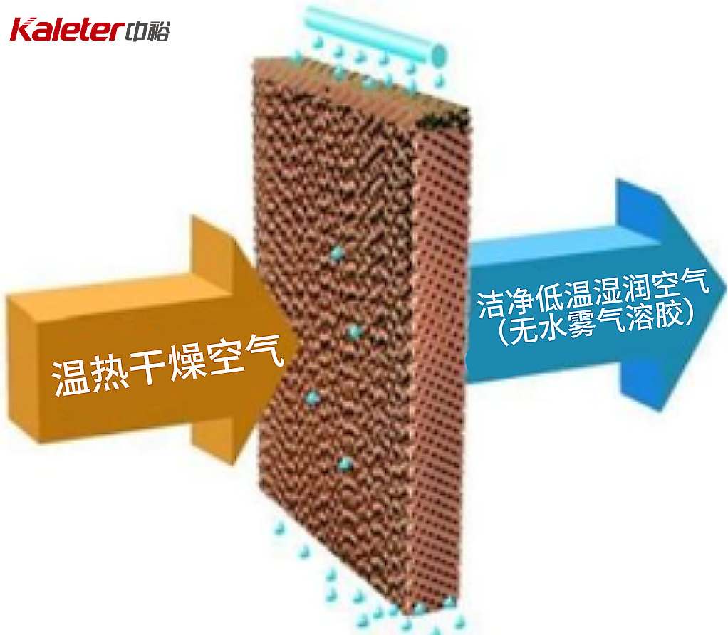 Diagram of a cooling pad in cross section, with warm dry air entering one side and clean cool moist air leaving the other