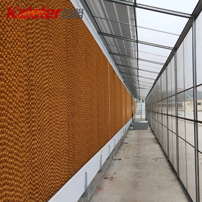 A long run of Kaleter evaporative cooling pad installed along the side wall of a poultry house