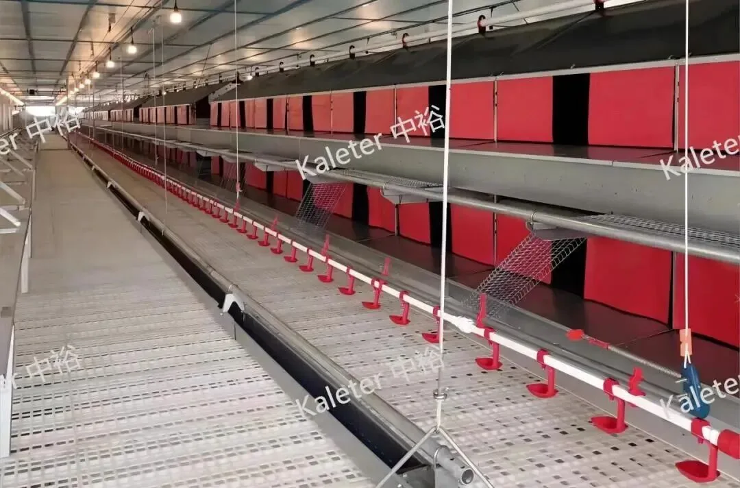 Phase two cage-free system at Dalian Lvxue with tiered housing and slatted floor