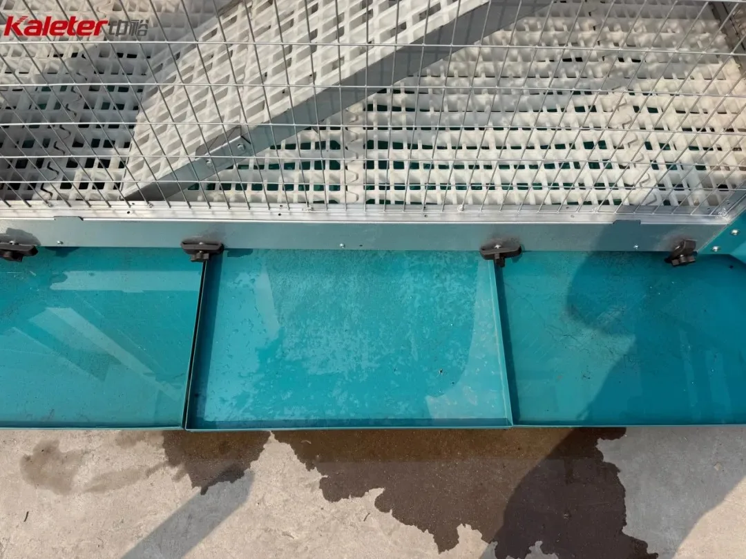 Slide-out manure collection tray underneath the slatted flooring