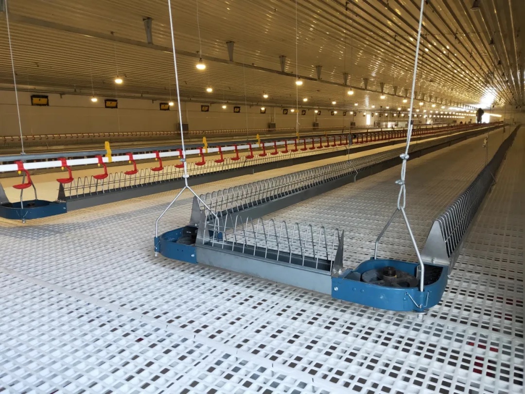 Suspended feed line hanging from the ceiling, with no floor-standing brackets