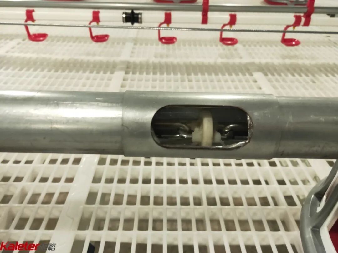 Inspection port in the feed conveying tube
