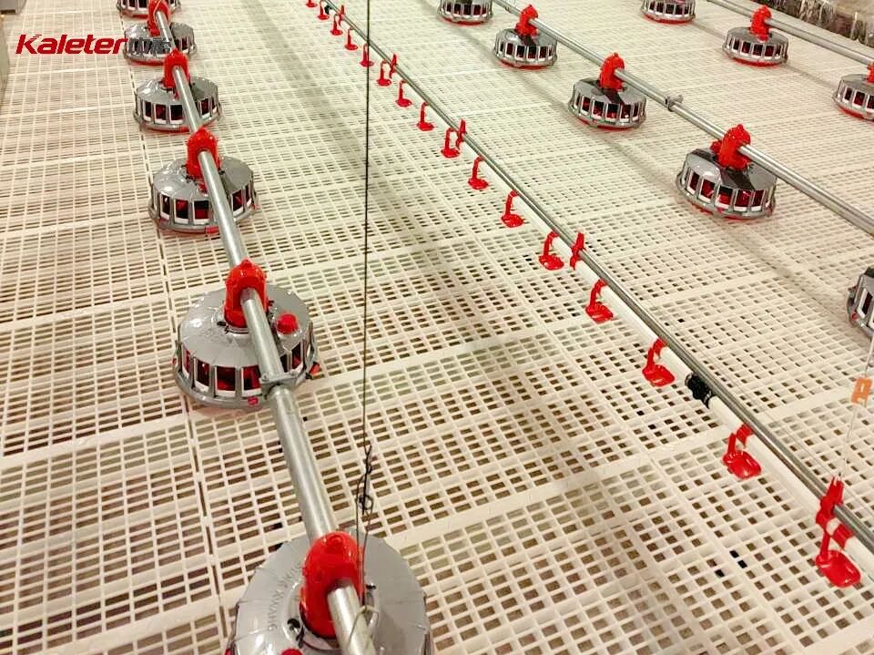 Pan feed lines and drinker lines running down a house