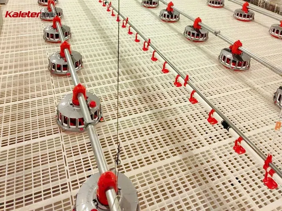 Pan feed lines and drinker lines running down a house