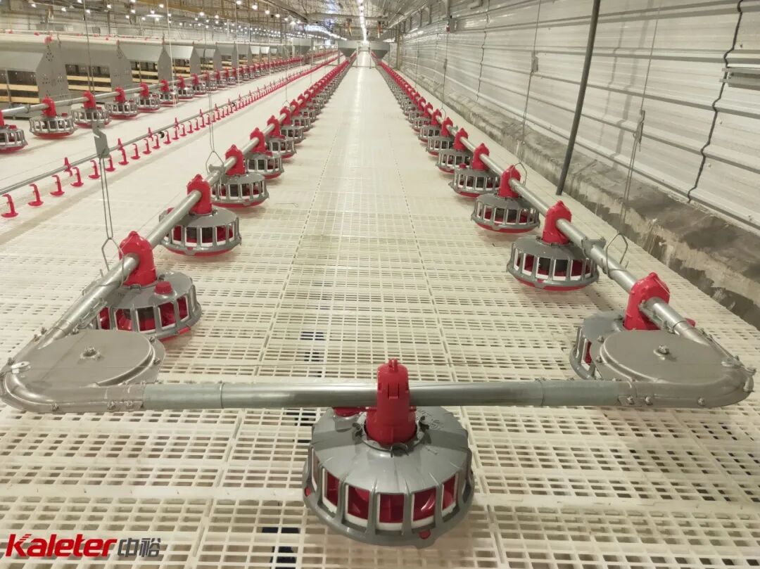 Pan feeders installed over plastic slat flooring