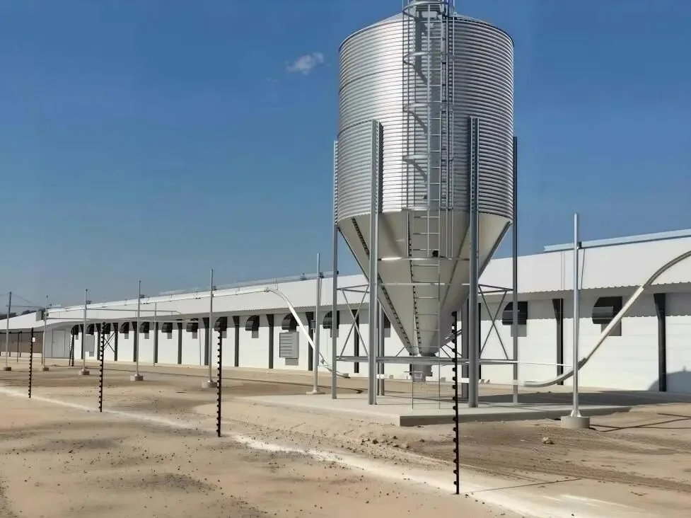Galvanized feed silo beside a row of poultry houses