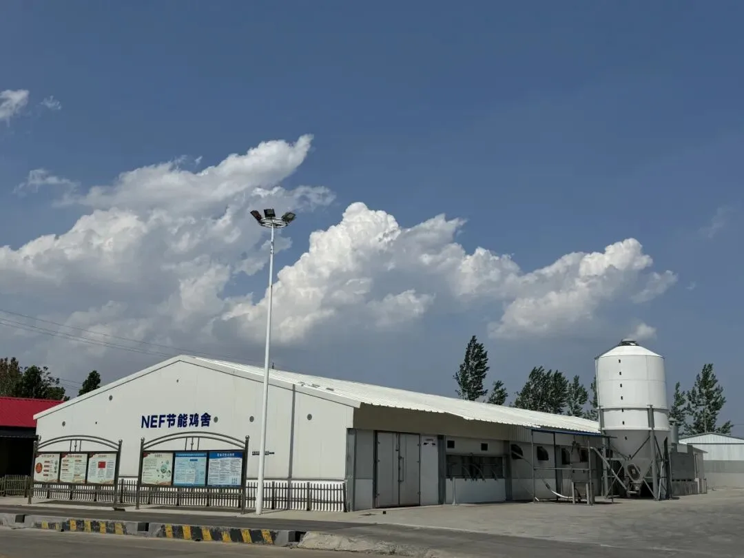 Exterior of a NEF energy-saving poultry house with a feed silo