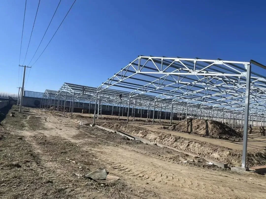 Steel frames of several breeder houses rising across the project site