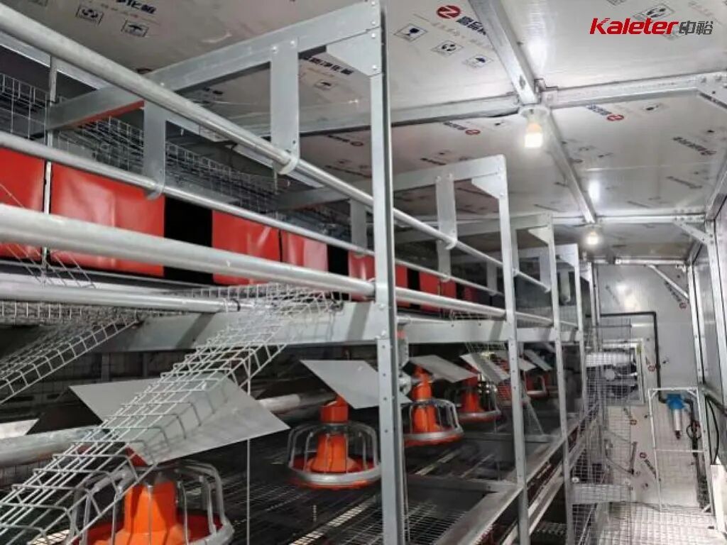 Interior of a Kaleter multi-tier movable house showing tiered floors, pan feeders and perches