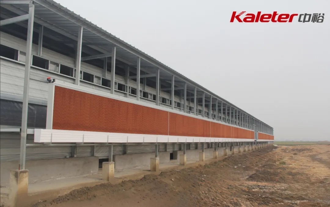 Evaporative cooling-pad wall installed along the house