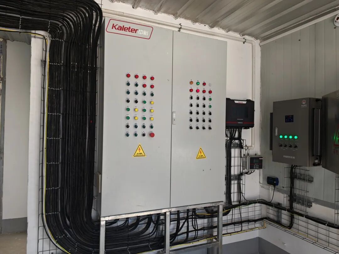 Control cabinet in a poultry house with bundled cable running into it from a wire tray
