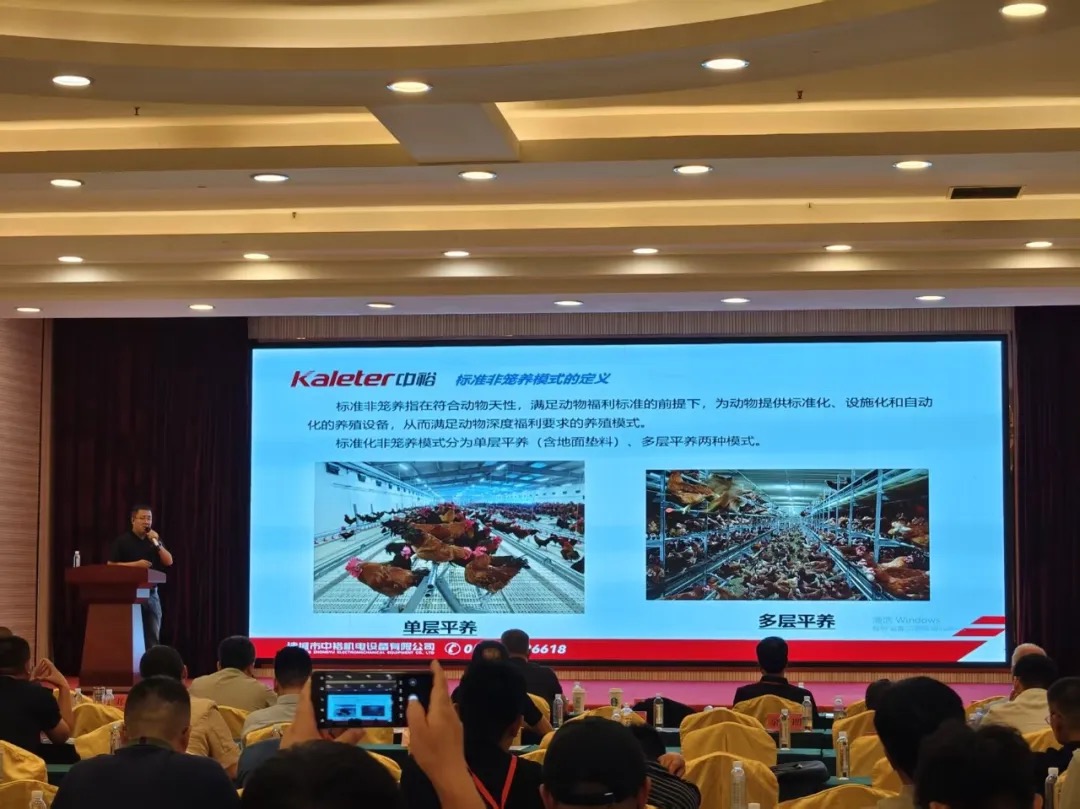 Pang Gerong, sales director of Kaleter's egg and poultry division, presenting Kaleter's cage-free rearing models