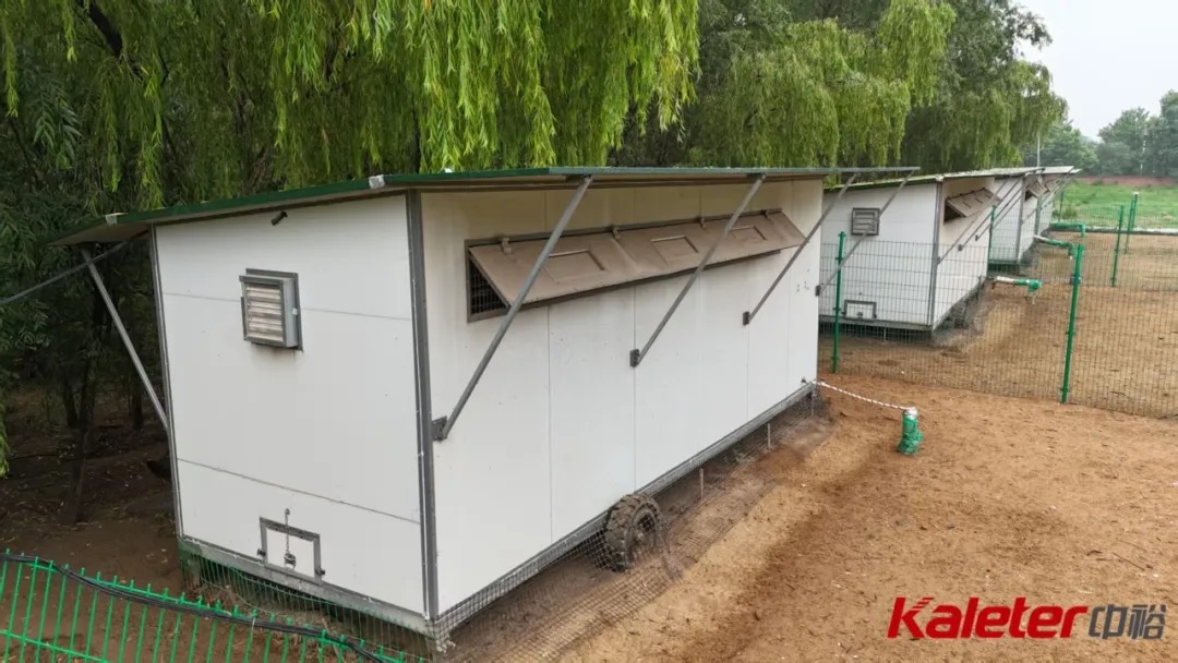 Row of Kaleter mobile chicken houses under trees on a pasture at a countryside resort