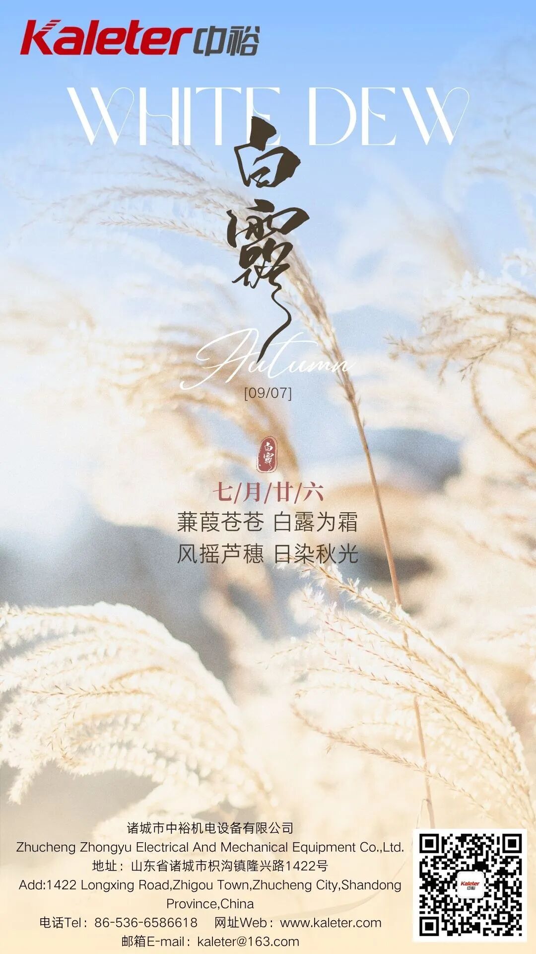 White Dew solar term poster with reed plumes against an autumn sky