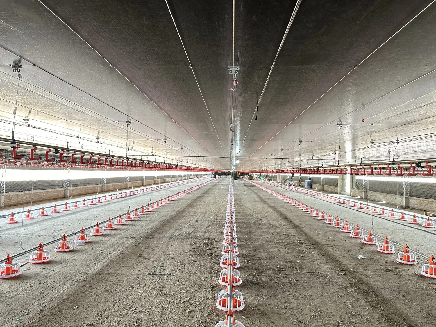 Broiler house, floor system
