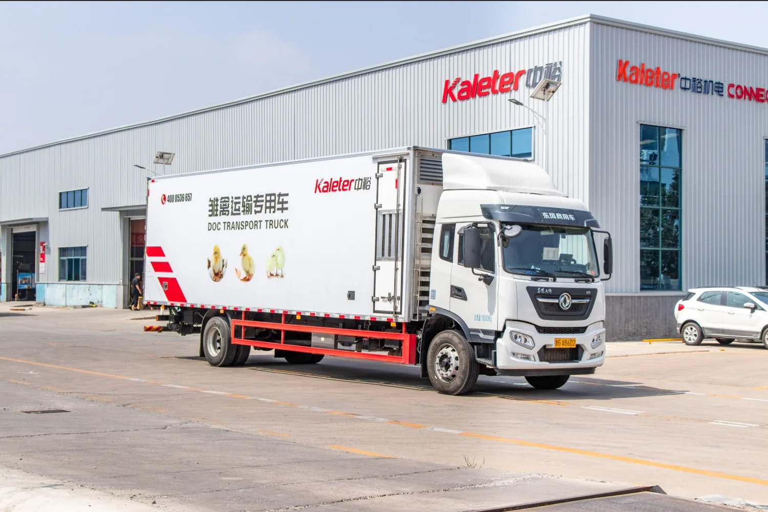 Day-old chick transport truck