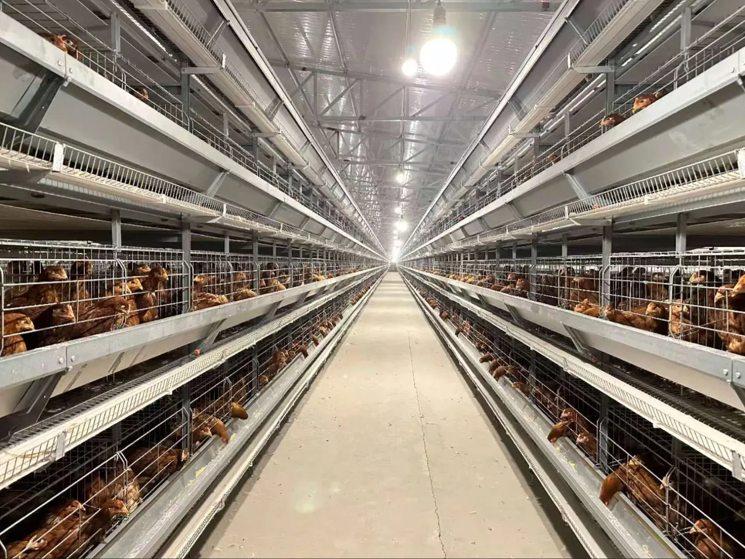 Layer cage house