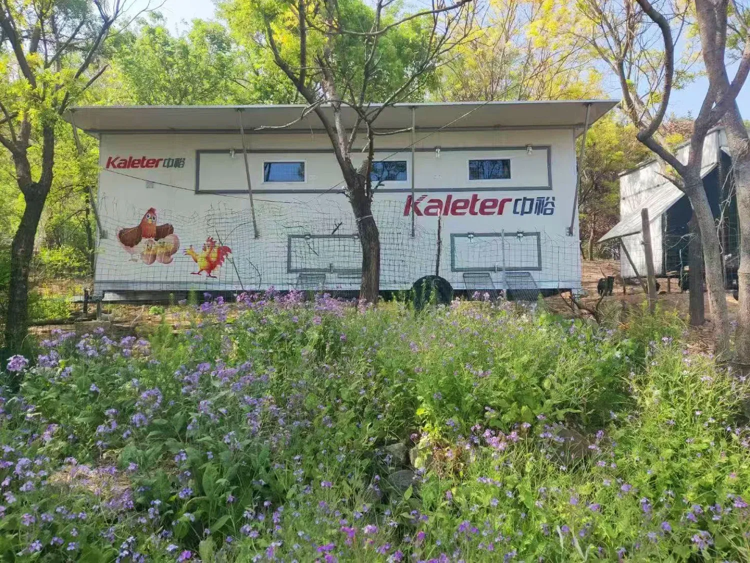 Mobile layer house