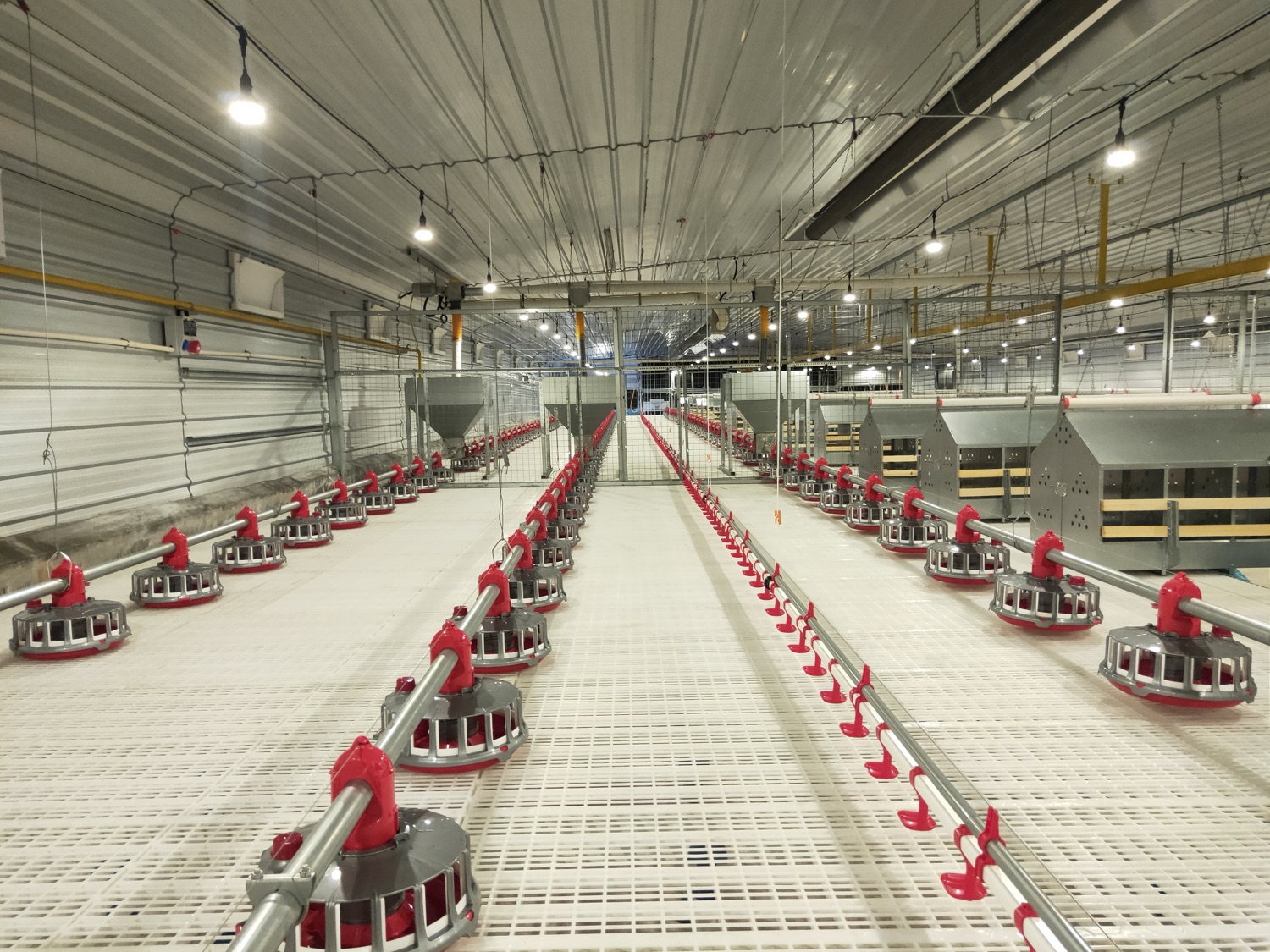 Feeding Systems