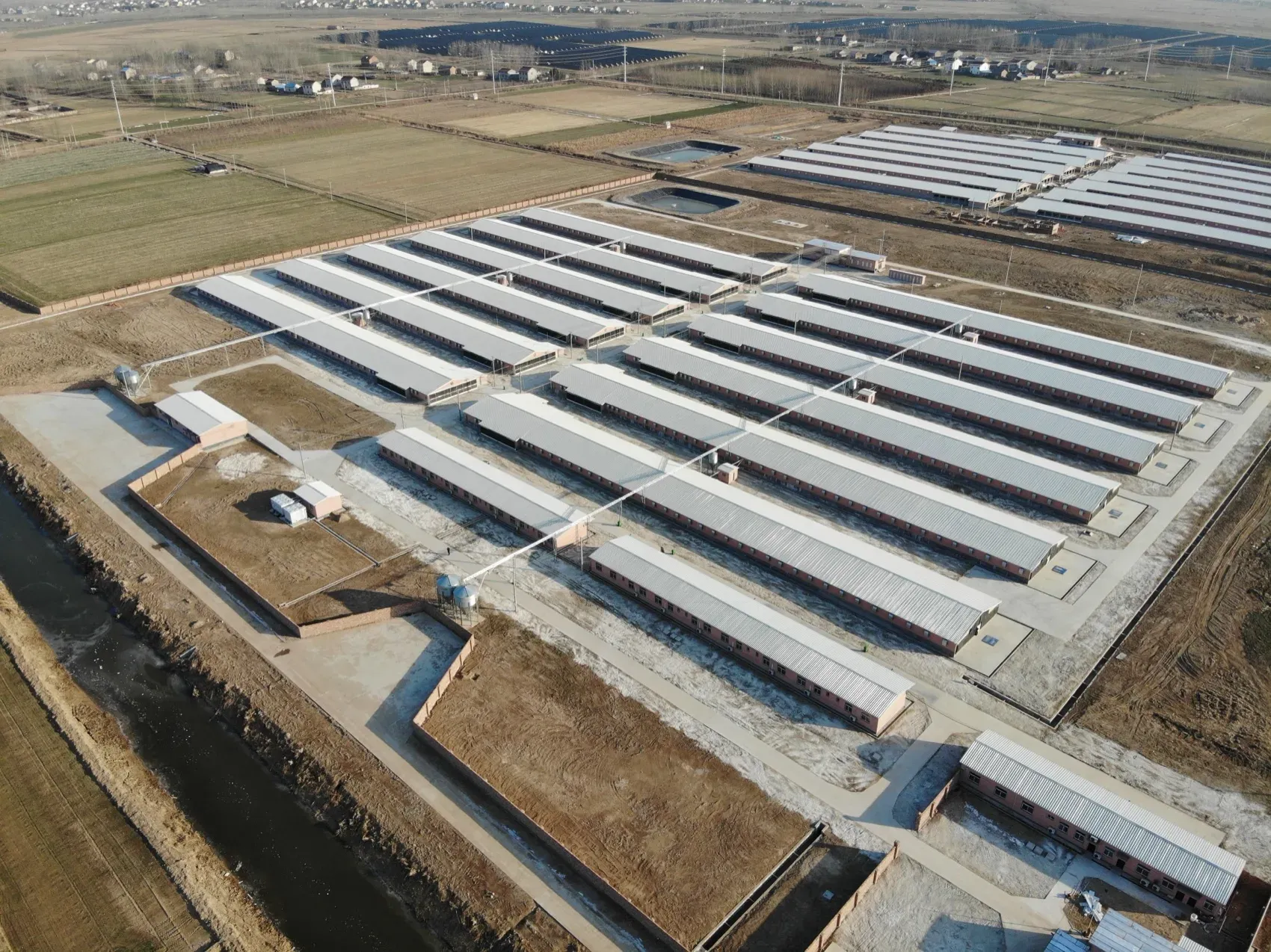 Ten-house broiler site