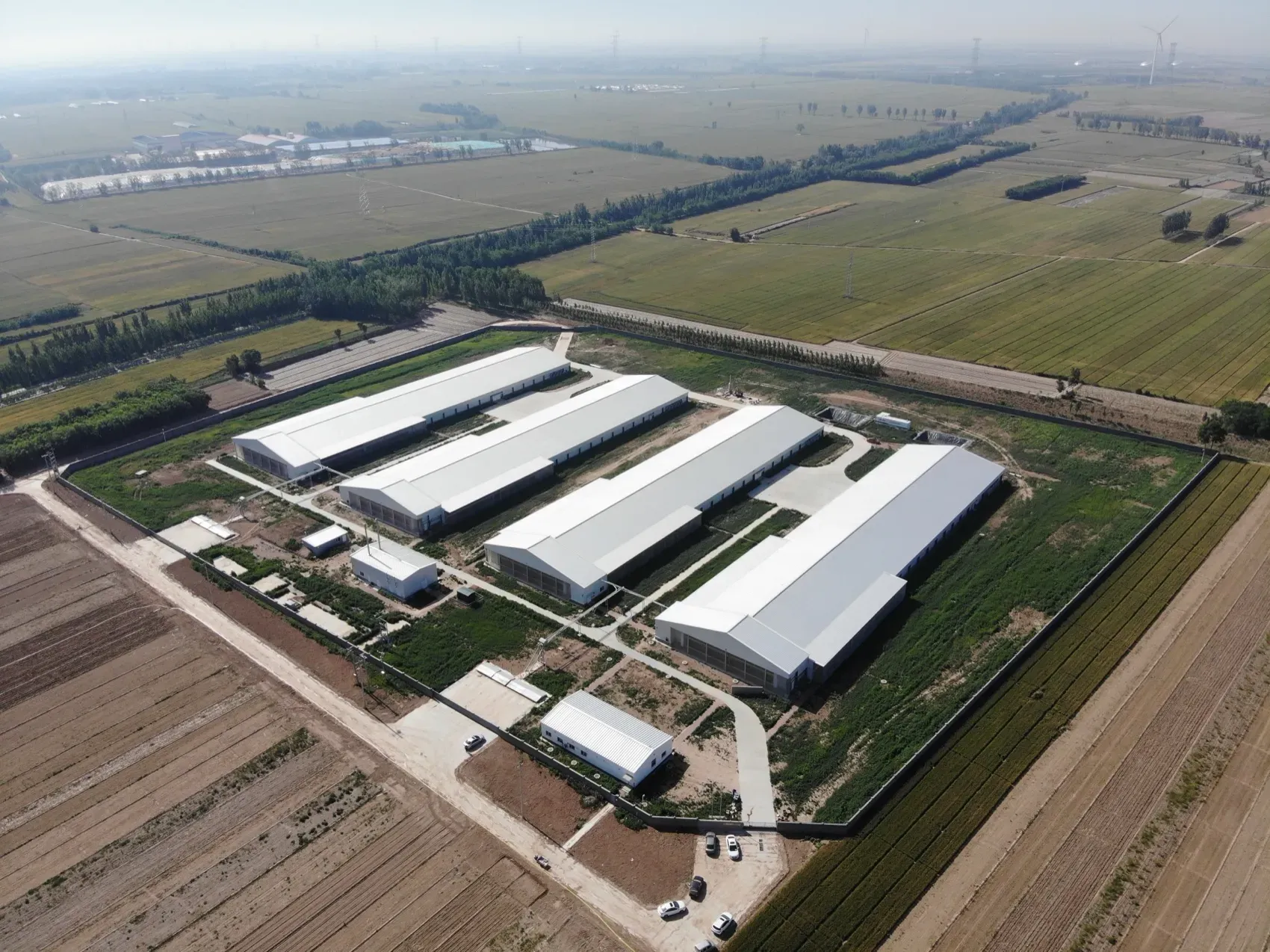 Four-house breeder farm