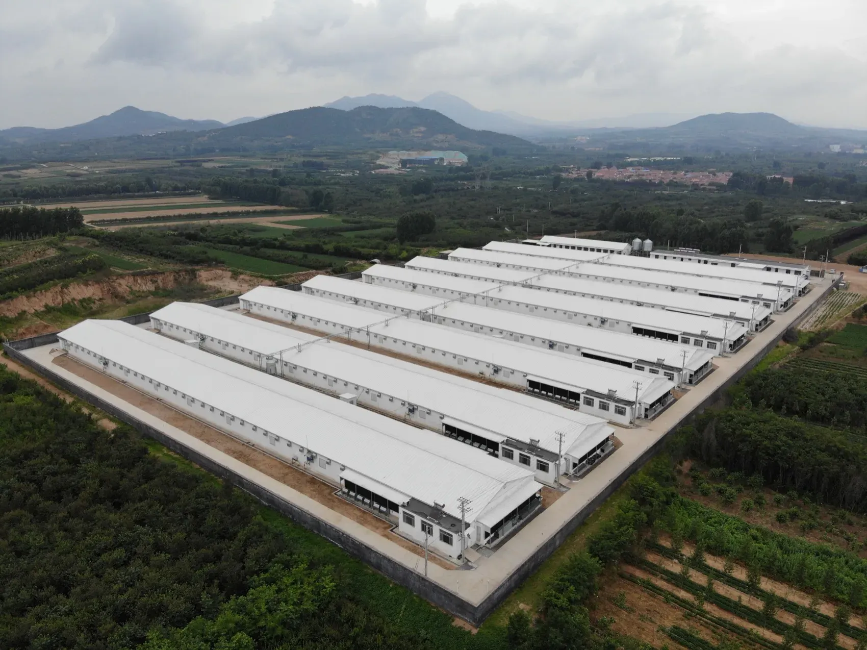 Multi-house poultry farm completed below the hills.