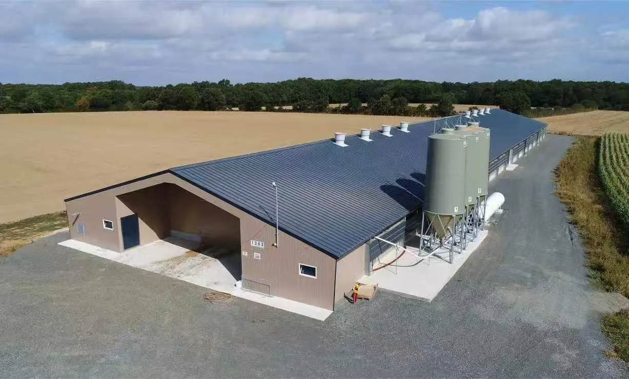 Oceania: recent installations in Australia and New Zealand